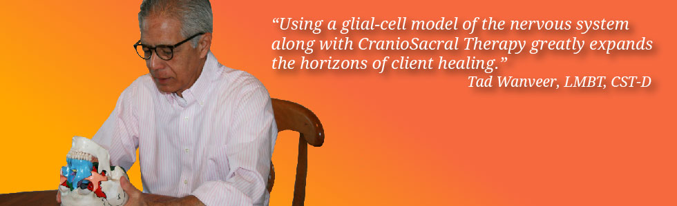 Slide 3-Orange