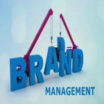 brand management