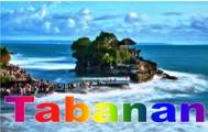 TANAH DIJUAL DI TABANAN, JUAL TANAH DI TABANAN, DIJUAL TANAH MURAH DI BALI, investasi property di Bali, TANAH MURAH DI TABANAN, jual tanah di Bali, Propertyi di Bali