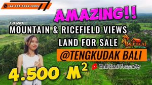DIJUAL MURAH TANAH di TABANAN BALI Untuk INVESTASI TJTB871