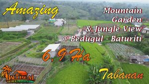 TANAH MURAH di TABANAN BALI DIJUAL 69,000 m2 View Perkebunan, Gunung dan Kota Denpasar