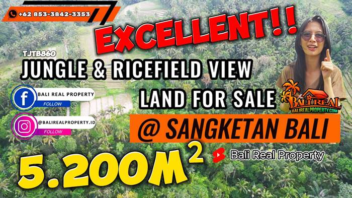 JUAL TANAH DI TABANAN BALI 52 Are View Sawah dan Hutan