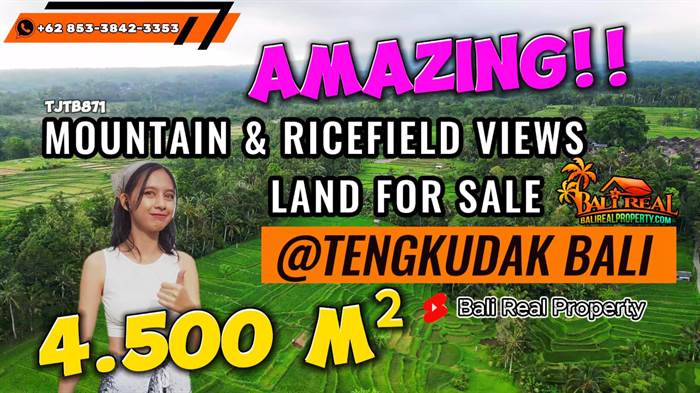 TANAH di TABANAN BALI DIJUAL MURAH 4,550 m2 di Penebel Tabanan