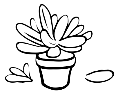 razmnozhenie